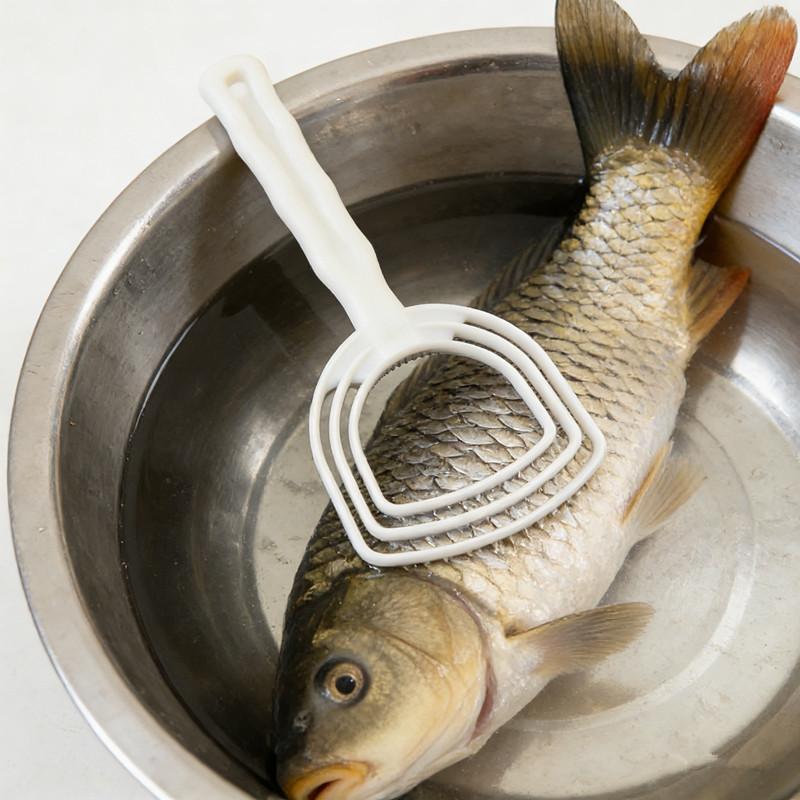 Raspador Manual de Plástico pa - Meal Prep Seafood avaliação e preço